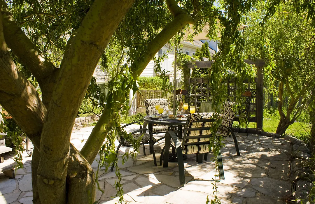 Sapience Retreat & Apothecary-1