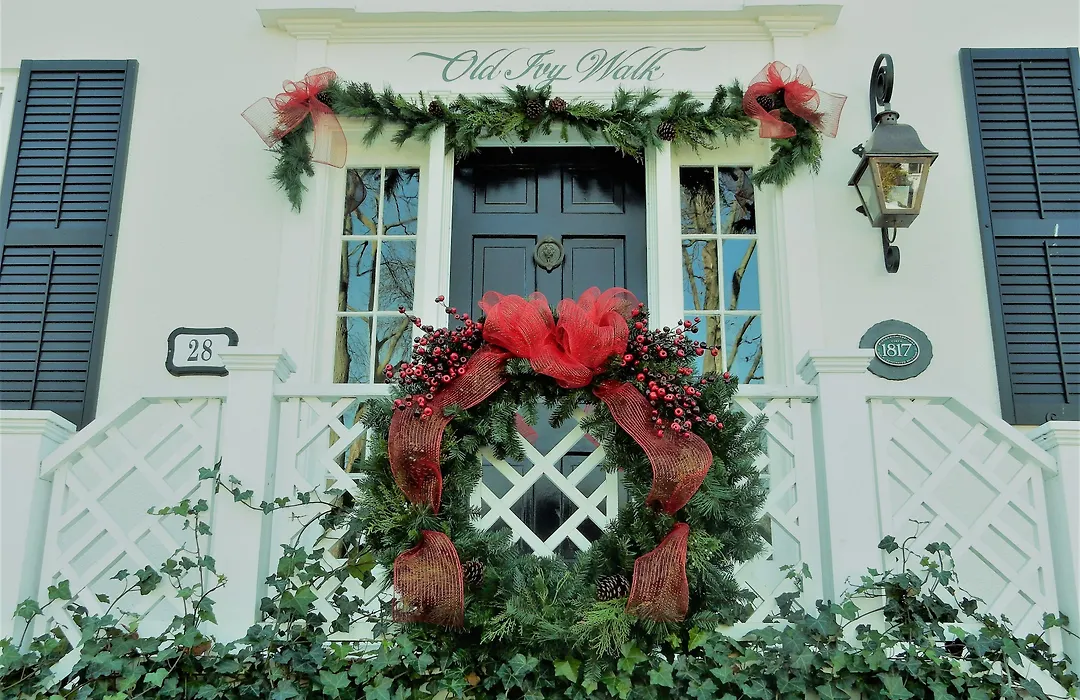 Old Ivy Walk-1